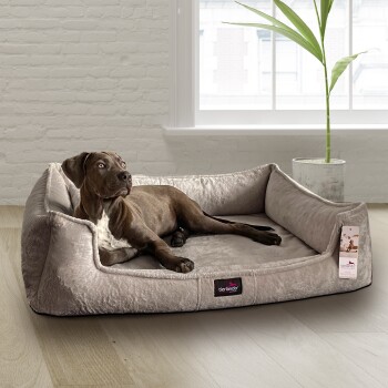 Ein brauner Hund, der auf einem plüschigen, grauen Hundebett in einem hellen Raum mit einer Pflanze und einem großen Fenster entspannt, mit einem Etikett, das "tierlando" liest.