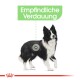 Illustration eines Border Collies mit dem Text 'Empfindliche Verdauung' darüber, was auf eine empfindliche Verdauung hinweist.