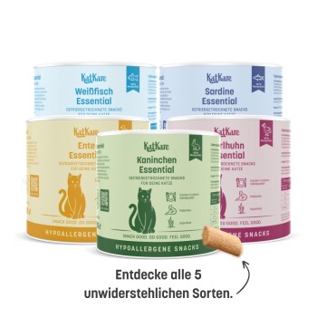 Vergleichstabelle der KatKare Katzensnacks mit Hervorhebung von Abonnementvorteilen, Gesundheit, Monoprotein und zusätzlichem Vitamin C.