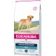 Breed Specific Labrador Retriever 12 kg