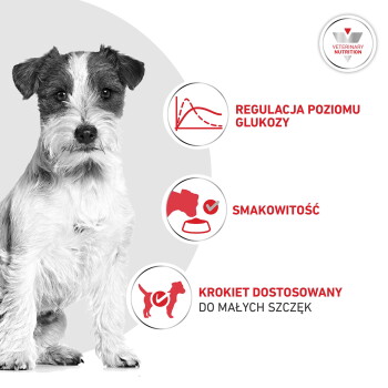 Terier z ikonami, tekst: REGULACJA POZIOMU GLUKOZY; SMAKOWITOŚĆ; KROKIET DOSTOSOWANY DO MAŁYCH SZCZĘK; VETERINARY NUTRITION.