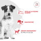 Terier z ikonami, tekst: REGULACJA POZIOMU GLUKOZY; SMAKOWITOŚĆ; KROKIET DOSTOSOWANY DO MAŁYCH SZCZĘK; VETERINARY NUTRITION.