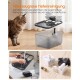 Katze neben zerlegtem Haustierbrunnen mit abnehmbaren Teilen, die abgespült werden; sichtbarer Text 'Werkzeuglose Tiefenreinigung'.
