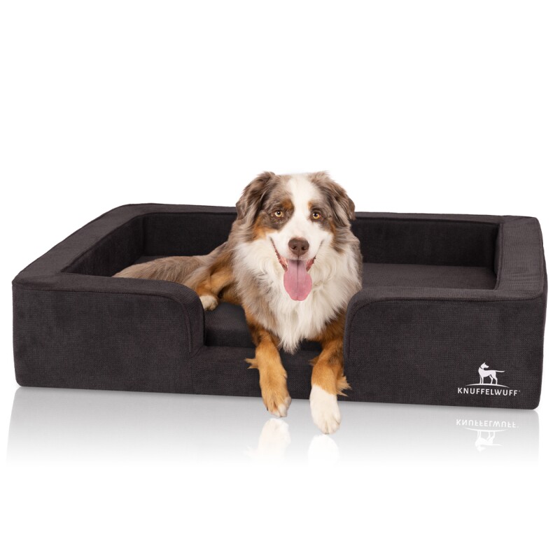 Knuffelwuff Orthopädisches Hundebett Mit Wendekissen Aus Velours Bellamy Schwarz Xl