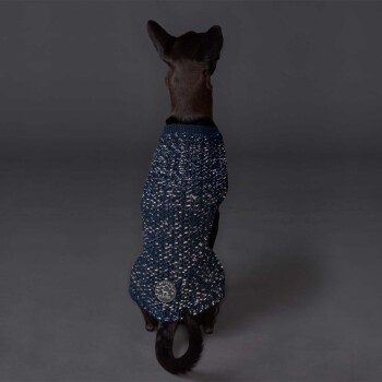 Ein schwarzer Hund trägt einen stilvollen marineblauen gestrickten Pullover, der von der Kamera abgewandt ist, mit einem Logo-Patch auf dem Rücken.