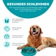 Ein Golden Retriever, der neben einer blauen langsamen Futter-Schüssel liegt, mit Text, der Vorteile wie die Verhinderung von Fettleibigkeit und die Verbesserung der Verdauung hervorhebt.