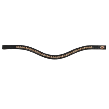 Schwarzes Haustierhalsband, verziert mit funkelnden goldenen Nieten, mit einem geschwungenen Design und einem kleinen Logosticker an einem Ende.