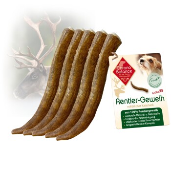 Rentier Geweih Snack 5xXS, 5x