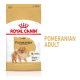 Royal Canin Pomeranian Adult Hundefutterbeutel mit einer flauschigen Pomeranian-Illustration, mit Text, der die rassespezifische Ernährung hervorhebt.