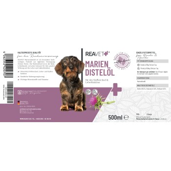Ein glücklicher schwarz-weißer Hund läuft durch ein Feld mit lila Blumen, umgeben von Grün entlang des Weges.
