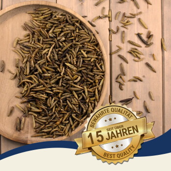 Getrocknete Mehlwürmer in einer Holzschale auf einer Holzoberfläche mit einem goldenen Abzeichen mit der Aufschrift „15 Jahren Best Quality“ auf Deutsch.