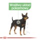 Ilustracja czarno-podpalanej rasy psa z wyróżnionym wrażliwym obszarem trawiennym i tekstem "Wrażliwy układ pokarmowy."