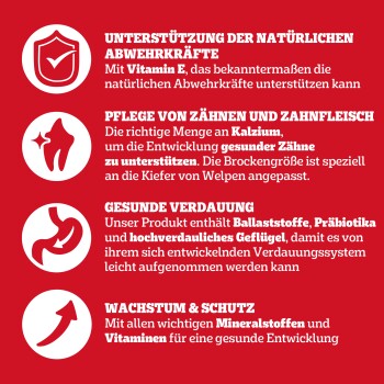Bild zeigt deutschen Text über die Vorteile von Tierfutter: Immununterstützung (Vitamin E), Zahnpflege (Calcium), Verdauung (Ballaststoffe, Probiotika), Wachstum (Mineralien).