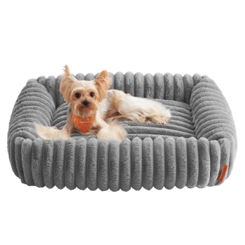 Kleiner hellbrauner Hund trägt ein orangefarbenes Halstuch und liegt auf einem plüschigen, grauen, gerippten Haustierbett mit orangefarbenem Etikett.