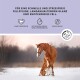 Ein Golden Retriever Welpe spielt mit einem braunen Pferd im Schnee, zusammen mit einer Werbung für ein tierversuchsfreies, zitronengrasduftendes Haustierpflegeprodukt.