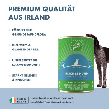Hochwertige Hundefutterdose mit grünem Design, mit Text über gesundheitliche Vorteile, hergestellt in Irland, und einer Hundesilhouette.
