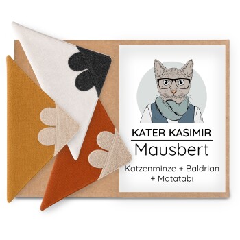 Schachtel mit drei dreieckigen Stoff-Katzenspielzeugen und Etikett mit Hipster-Katzenillustration mit der Aufschrift 'KATER KASIMIR Mausbert'