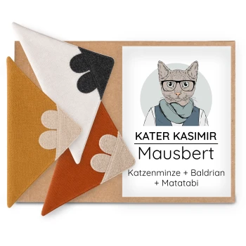 Schachtel mit drei dreieckigen Stoff-Katzenspielzeugen und Etikett mit Hipster-Katzenillustration mit der Aufschrift 'KATER KASIMIR Mausbert'