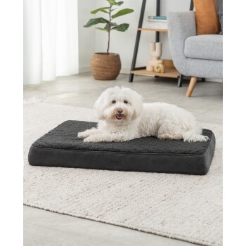 Ein flauschiger weißer Hund ruht auf einem schwarzen Haustierbett mit weichem Oberteil, das auf einem hellen Teppich in einem modernen Wohnzimmer platziert ist.