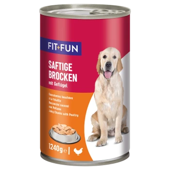 Boîte de nourriture pour chien étiquetée 'FIT+FUN Saftige Brocken mit Geflügel', avec un golden retriever et un bol de nourriture, 1240g.