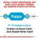 Karma dla psów Royal Canin dla terierów Jack Russell, wskazujące etapy: 2 miesiące (Szczeniak) i 10 miesięcy (Dorosły), z notatką o przejściu.