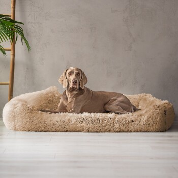 Ein plüschiges, hellgraues Haustierbett mit erhöhten Rändern und einem kleinen Kissen, vor einer neutralen Wand und Holzdekoration.
