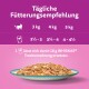 Bild eines Tellers mit WHISKAS® Katzenfutter auf lila Hintergrund, das tägliche Fütterungsempfehlungen für Katzen basierend auf Gewicht anzeigt.