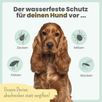 Ein neugieriger brauner Hund neben einer pflanzenbasierten ZPOT-ON Flohabwehrflasche mit floralen Designs und einem Verbotssymbol, umgeben von Blättern.