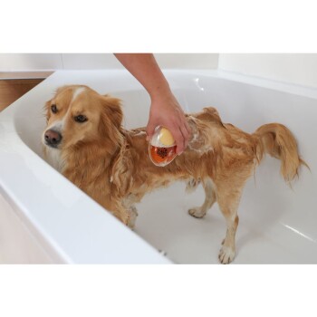 Eine Person badet einen kleinen, goldenen Hund in einer weißen Badewanne und verwendet eine Flasche Haustiershampoo mit einem orangefarbenen Etikett.