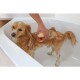 Eine Person badet einen kleinen, goldenen Hund in einer weißen Badewanne und verwendet eine Flasche Haustiershampoo mit einem orangefarbenen Etikett.