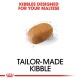 Kibble for Maltese dogs, showing a single kibble piece with "KIBBLES DESIGNED FOR YOUR MALTESE" and "TAILOR-MADE KIBBLE."