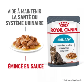 ROYAL CANIN Chaton Nourriture humide Chat 12 x 85 g Pâté / Terrine / Mousse