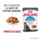 Pochette de nourriture humide pour chats Royal Canin Urinary avec une assiette de nourriture humide, mettant en avant un texte sur le soutien de la santé urinaire en 10 jours.