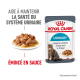 Pochette de nourriture humide pour chats Royal Canin Urinary avec une assiette de nourriture humide, mettant en avant un texte sur le soutien de la santé urinaire en 10 jours.
