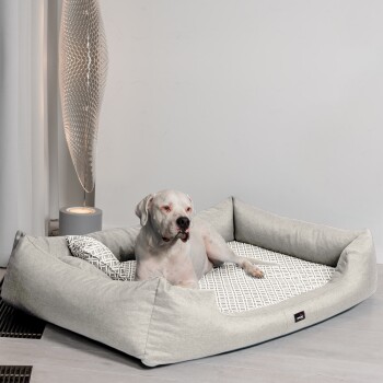 Weißer Hund liegt auf einem großen grauen Haustierbett mit gemustertem Kissen in einem modernen Raum mit Lampe.