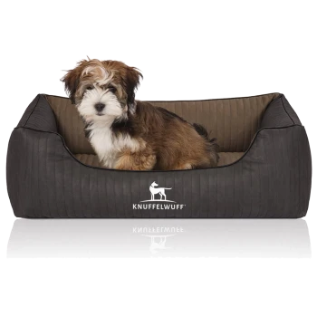 Flauschiger braun-weißer Welpe sitzt in einem grauen Knuffelwuff-Hundebett mit weißem Logo und Spiegelung