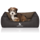 Flauschiger braun-weißer Welpe sitzt in einem grauen Knuffelwuff-Hundebett mit weißem Logo und Spiegelung