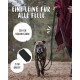 Eine Person führt einen gestromten Hund an einer sandigen Strecke mit einer schwarzen Leine. Text: "Eine Leine für alle Felle," "230 cm," "2 cm Breite."