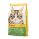 Ein Sack Josera Kitten Grainfree Katzenfutter mit einem Kätzchenbild, das "GETREIDEFREI" und Vorteile für Wachstum und gegen Haarballen hervorhebt.