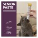 Graue Katze leckt an einer von der Hand gehaltenen Tube GimCat Senior Paste (ab 7 Jahren); violettes Feld mit großem Text 'SENIOR PASTE'