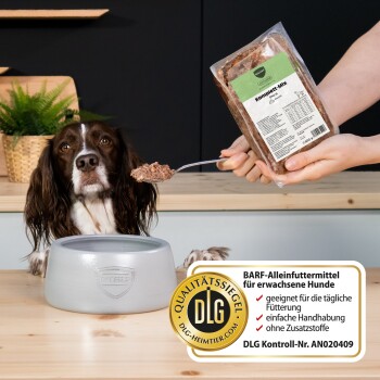 Braun‑weißer Hund an einer Schüssel wird mit einem Löffel aus einer Packung mit der Aufschrift 'Komplett‑Mix' gefüttert; ein 'BARF' Qualitätskennzeichen ist sichtbar.