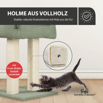 Ein verspieltes graues Kätzchen streckt sich nach einem stabilen Kratzbaum aus Holz, der mit Sisal-Seil umwickelt ist, mit einem grünen Kissen oben.