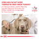 Tierarzt untersucht einen Hund mit einem Stethoskop und fördert die veterinärmedizinische Ernährung von Royal Canin. Der Text ermutigt zur Konsultation mit einem Tierarzt.