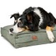 Dreifarbiger Border Collie legt den Kopf auf ein grünes, rechteckiges Hundebett mit kleinem braunen Lederetikett.