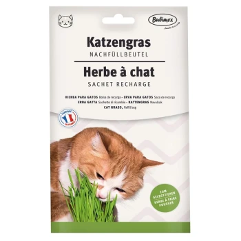 Katzengras Nachfüllbeutel 100g Nachfüllbeutel für Katzengras mit einer Nahaufnahme einer Katze, die Gras schnüffelt, mit Text in mehreren Sprachen, einschließlich "Katzengras" und "Cat Grass."