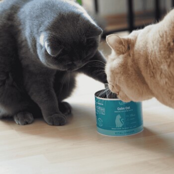 Text mit der Aufschrift „Ohne Zusatz von“ mit durchgestrichenen Symbolen für Soja, Getreide, Zucker und Gluten sowie Text über reinen Genuss für Ihr Haustier.