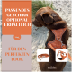 Brauner Hund mit orangefarbenem Geschirr an einem sandigen Strand mit Text über optional passendes Geschirr und Leine für einen perfekten Look.