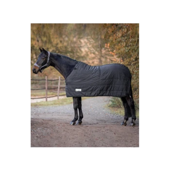 Ein schwarzes Pferd mit einer gepolsterten Decke steht auf einem Schotterweg, umgeben von herbstlichem Laub, und zeigt seinen schlanken Körperbau und sein ruhiges Wesen.