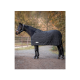 Ein schwarzes Pferd mit einer gepolsterten Decke steht auf einem Schotterweg, umgeben von herbstlichem Laub, und zeigt seinen schlanken Körperbau und sein ruhiges Wesen.