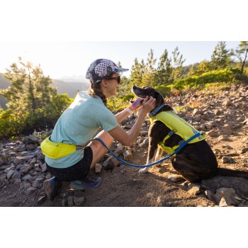 Eine Person in einem hellblauen Hemd und einer gelben Hüfttasche kniet auf einem felsigen Weg mit einem braun-weißen Hund im gelben Geschirr.